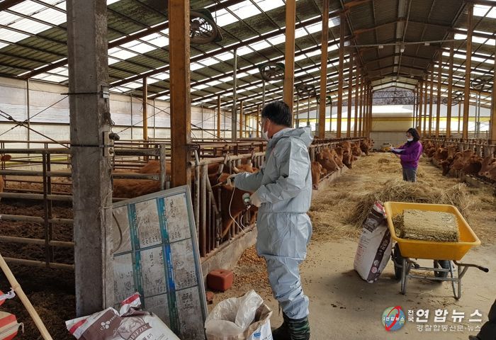 진안군, 구제역백신 수시접종 추진