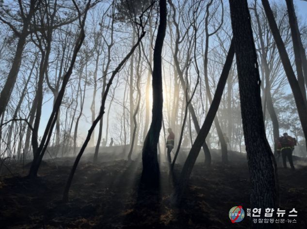 장성군 진원면 산불 조기 진화… 민‧관‧군 신속 대응 빛났다