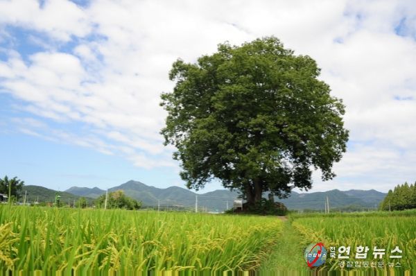 친환경농업 직불사업 신청