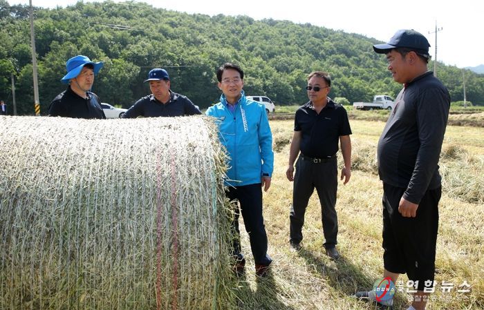 강진원 군수가 조사료 수확 현장을 방문하여 작업농가 격려 및 양질 조사료 생산을 당부 하고 현장의 목소리를 청취하고 있다.