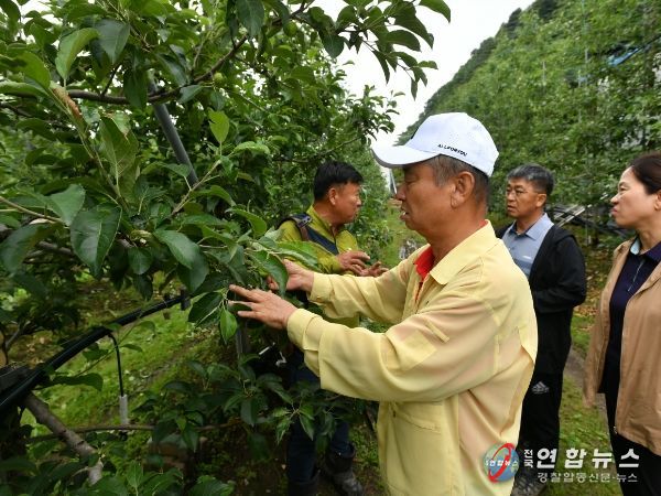 지난 11일 오전, 최문순 화천군수와 농업기술센터 직원들이 상서면 지역 농가를 방문해 우박 피해상황을 살펴보고 있다