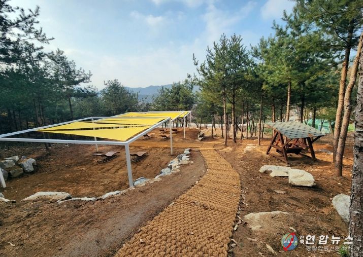 자일산림욕장 개방