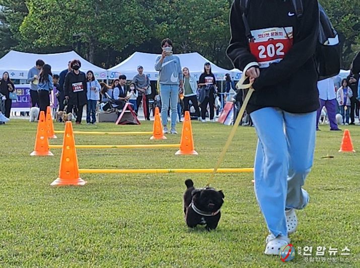 2023년 안양시 반려동물 축제 현장
