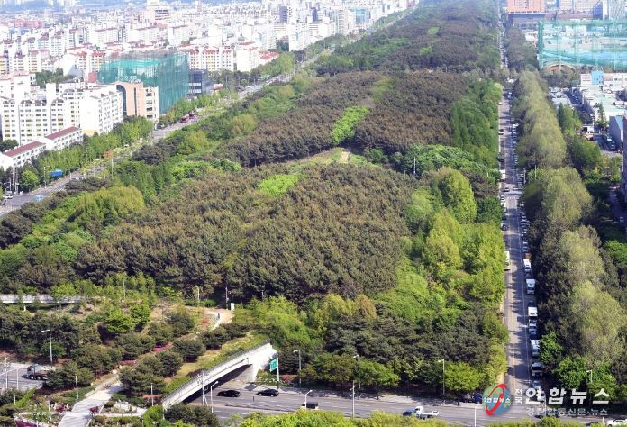 위에서 본 곰솔누리숲. 양쪽으로 주거단지와 산업단지가 위치해 있다.