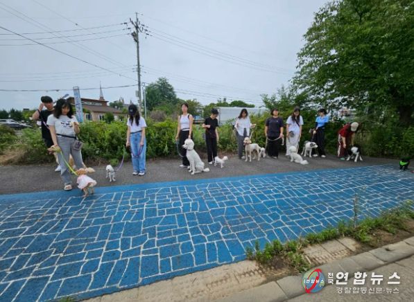 익산청년시청, 반려동물과 함께한 특별한 여름