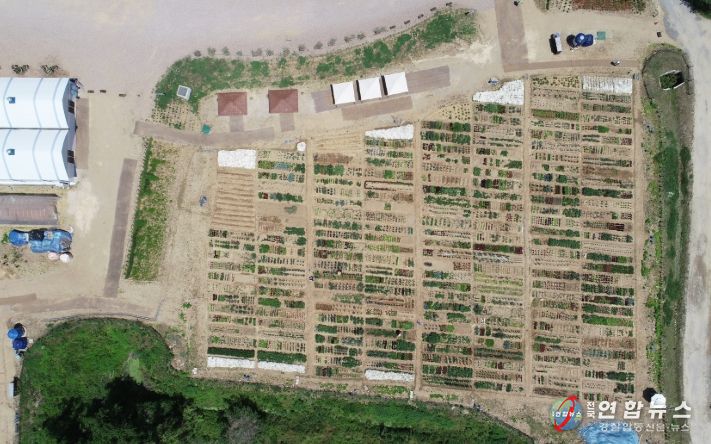 용인특례시 기흥구 고매동에 있는 용인시민농장 전경