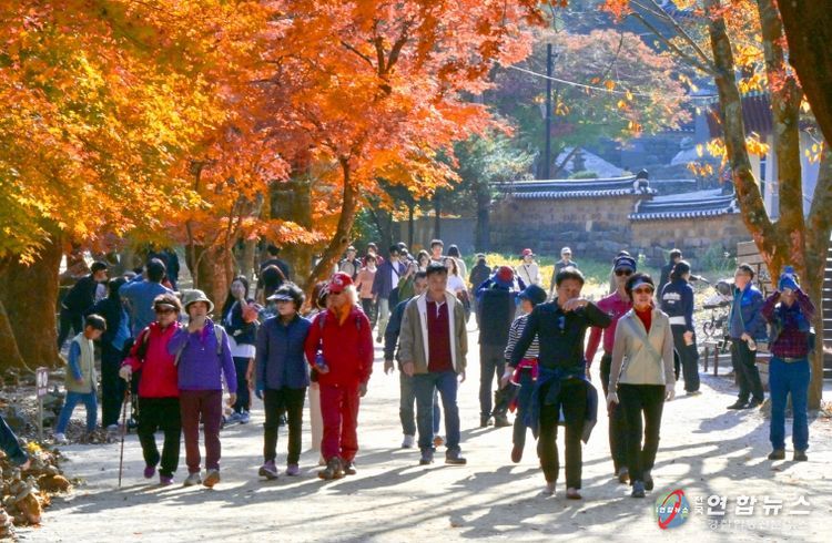 강천산군립공원, 10월 24일부터 가을 성수기 운영 시작