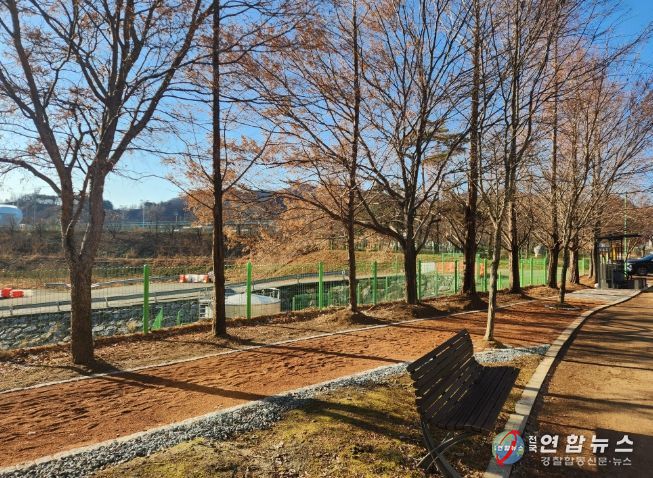 영월군 스포츠파크 맨발걷기 길 조성