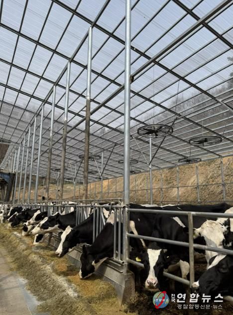 용인트례시가 '2026년 축산분야 생산지원사업' 희망 농가를 모집한다