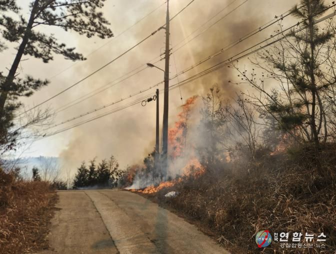 지난해 3월 이원 산불 당시 모습