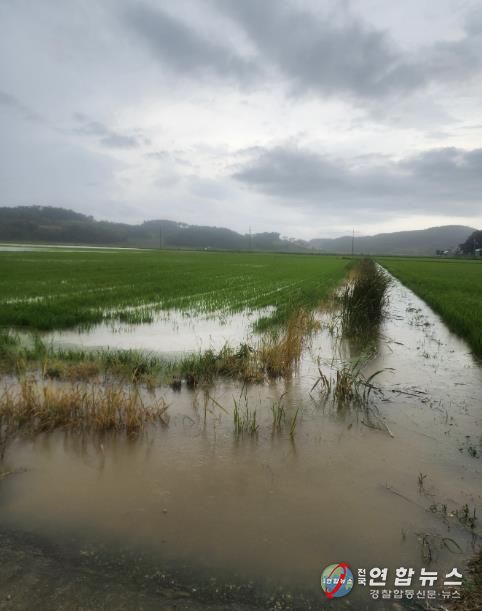 작년 7월 누동지구, 죽림지구 침수 피해 현장 모습