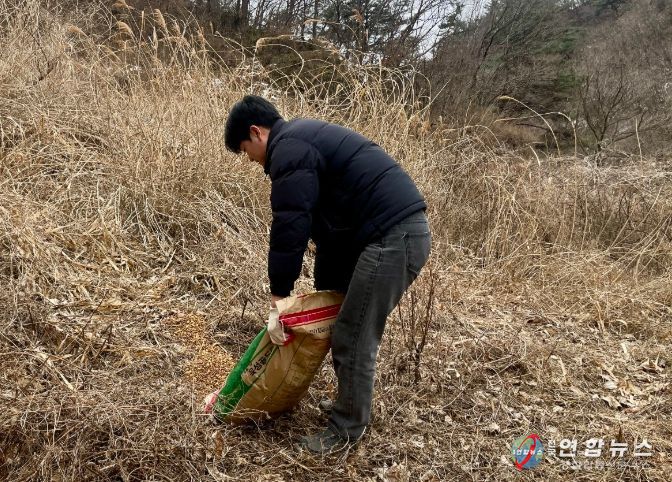 영주시, 동절기 야생동물 먹이주기 행사