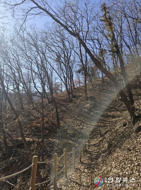 용인특례시가 추진한 광교산둘레길 2차사업 대상지 모습