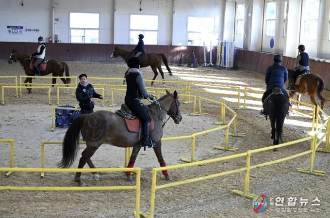 홍성군, 관내 초·중학생 승마 지원한다