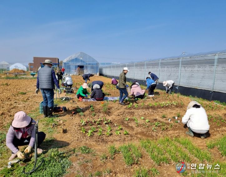 1. 천안 도시농업전문가 양성과정 교육생들이 천연농약 만들기 실습을 하고 있다.