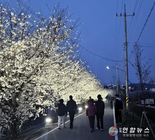지난해 벚꽃이 만개한 천안시 원성천 산책로에서 시민들이 야간 경관조명이 켜진 벚꽃길을 걷고 있다.