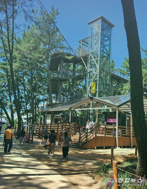 서천군, 장항스카이워크 운영시간 연장