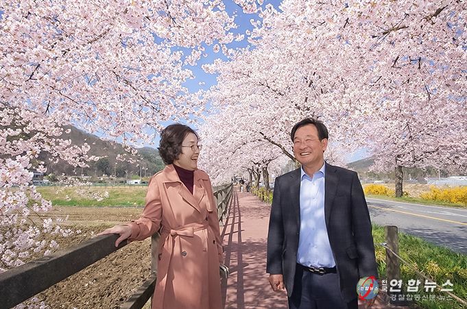 왼쪽 박의용 북면장, 오른쪽 진수곤 천안위례벚꽃축제추진위원장이 만개한 벚꽃나무 아래에서 축제 준비를 점검하며 환하게 웃고 있다.
