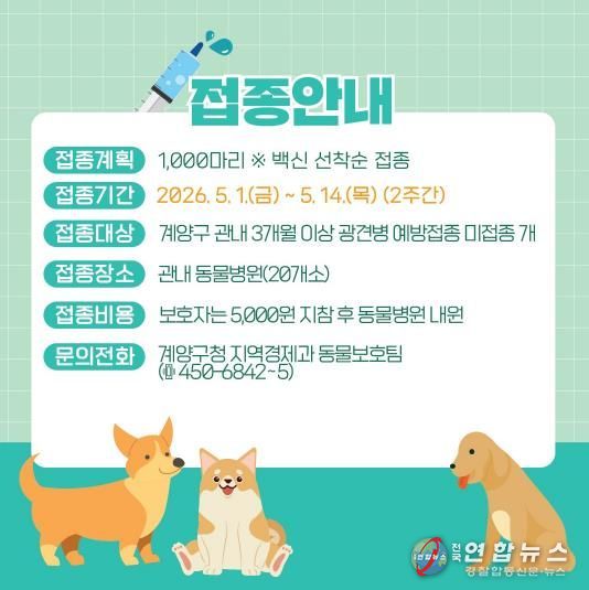 계양구, 2026년 춘계 광견병 예방접종 실시
